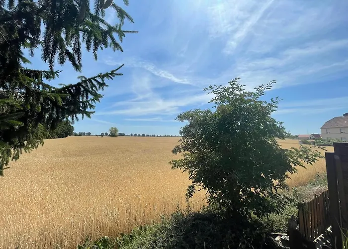 Appartamento Boerde-apartment 4 *