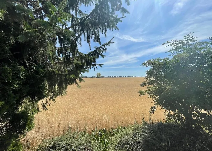 Boerde-apartment 4 *